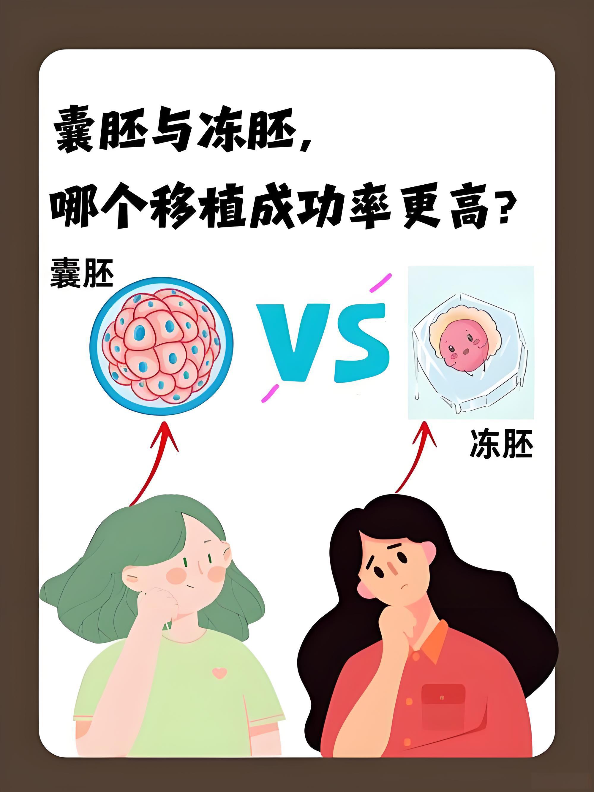 胚胎移植成功率哪个更高