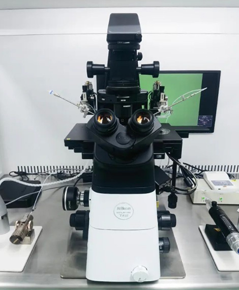 吉尔吉斯斯坦郁金香医院显微镜