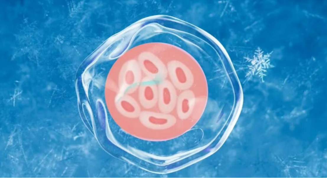 失独周女士，为摆脱悲伤，决定求助助孕机构