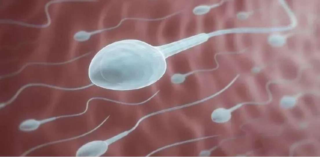 郁金香国际生殖中心试管婴儿成功案例：精子活力偏低还能怀孕吗？一例辅助生殖路径的完整记录（2026）