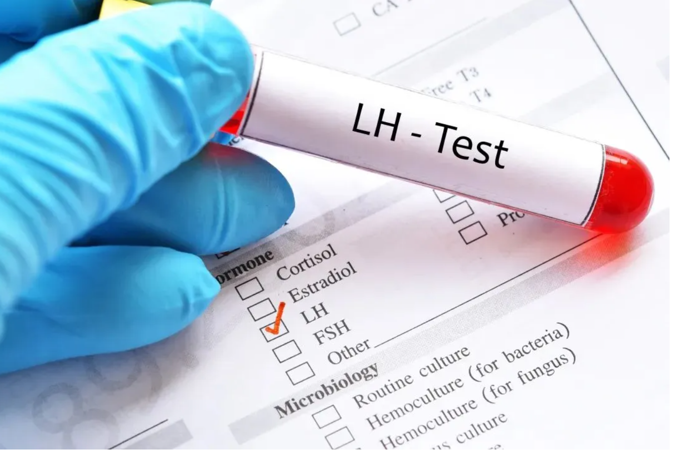 吉尔吉斯斯坦郁金香国际生殖中心试管成功率？5个核心因素拆解，适合哪些人一文讲清