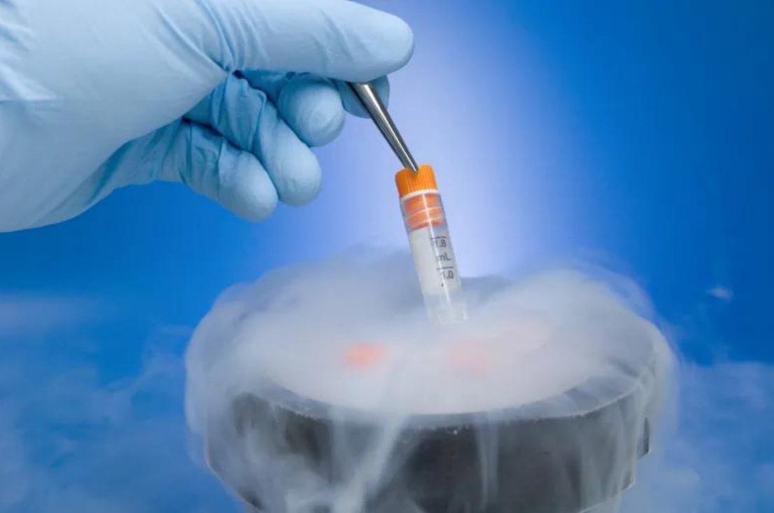 吉尔吉斯斯坦郁金香国际生殖中心胚胎冷冻技术解析：流程、适用人群与医学考量